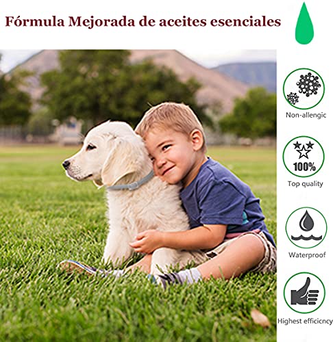 Collar Antiparasitos Perro Impermeable para Mascota Tamaño Ajustable Fórmula Mejorada de aceites Esenciales