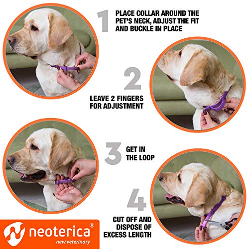 Collar calmante ajustable para perros con efecto atractivo – Alivio de la ansiedad del perro – Collar antiansiedad con efecto calmante de larga duración para perros de todos los tamaños