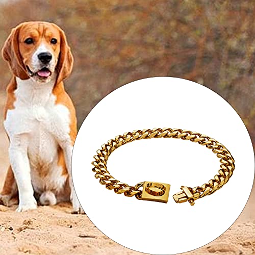 Collar de gargantilla de perro con diseño de hebilla de color dorado de acero inoxidable para suministros para mascotas, cadena de larga duración para tienda de mascotas de oro-10 pulgadas