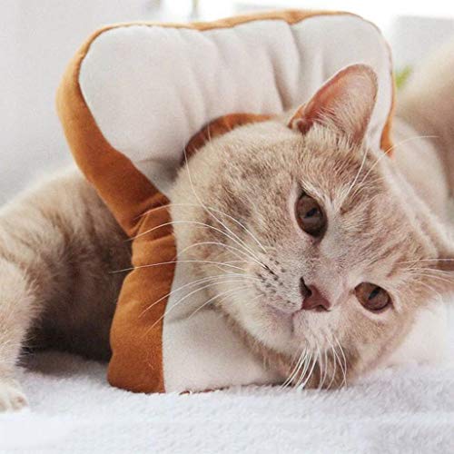 Collar isabelino ajustable para recuperación de gatos isabelino cuello protector después de la cirugía por Irjdksd