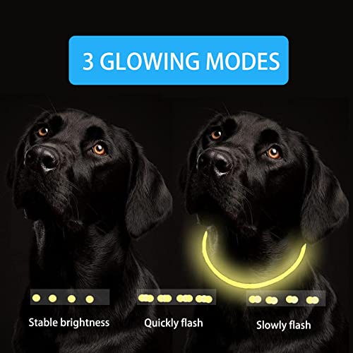Collar Luminoso Perro ，Collar De Perro Luminoso USB Recargable Collar de Destello Ajustable Collar Luz Perros Impermeable para Perros pequeños, medianos y Grandes - 3 Modos