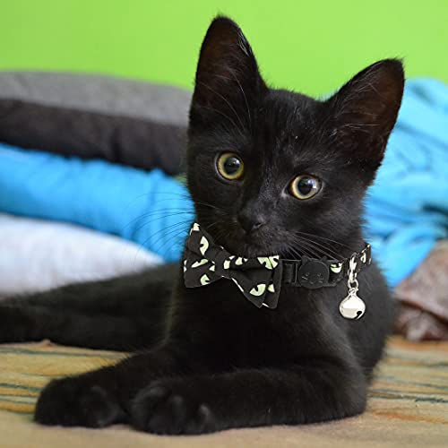 Collares de gato de halloween, collar de gato ajustable de color verde claro negro con campana, collares de gato de ojo de fantasma con pajarita desmontable para gatos de la mayoría de los tamaños