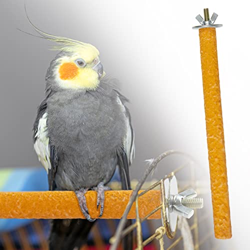 Comius Sharp 5 Pcs Perchas Juguetes para Jaulas De Pájaros Stand 20cm Paw Grinding Toy For Parakeet Interactive Bird Cage Perches For Parrots Bird Chewing Toys