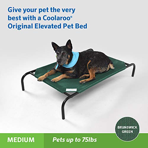 Coolaroo Pet Bed (Medium, Green)