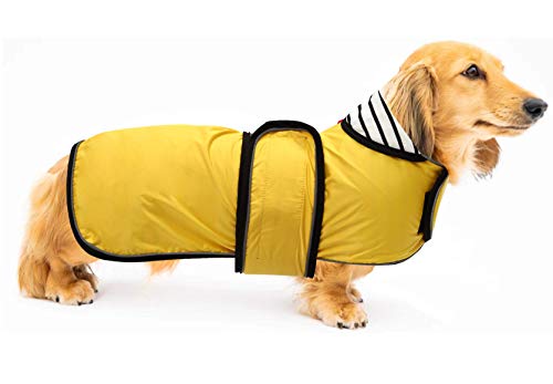 Ctomche Chaqueta de perro salchicha con arnés, chaleco deportivo para perro cálido y acogedor, abrigo de invierno para perro salchicha amarillo XL-Nuevo