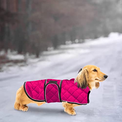 Ctomche Chaquetas de perro salchichas deportivas, impermeables, cálidas para invierno, abrigos de salchichas grandes, reflectantes, seguros, reversibles, para perros salchichas rosas-XL