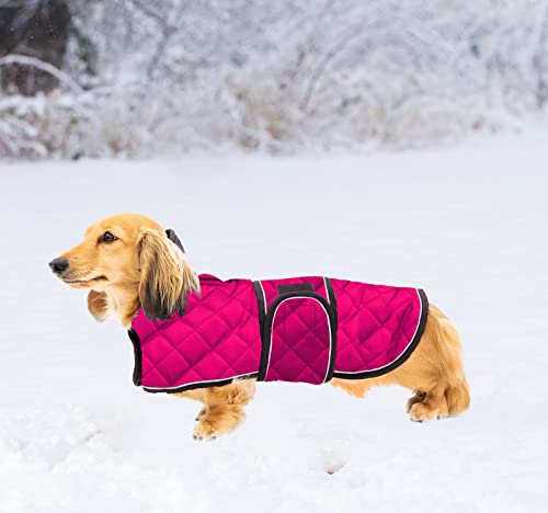 Ctomche Chaquetas de perro salchichas deportivas, impermeables, cálidas para invierno, abrigos de salchichas grandes, reflectantes, seguros, reversibles, para perros salchichas rosas-XL