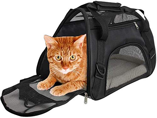 CUBY - Transportín para Mascotas con Laterales Suaves, cómodo para Viajar en avión para Animales pequeños, Gatos, Gatitos y Cachorros