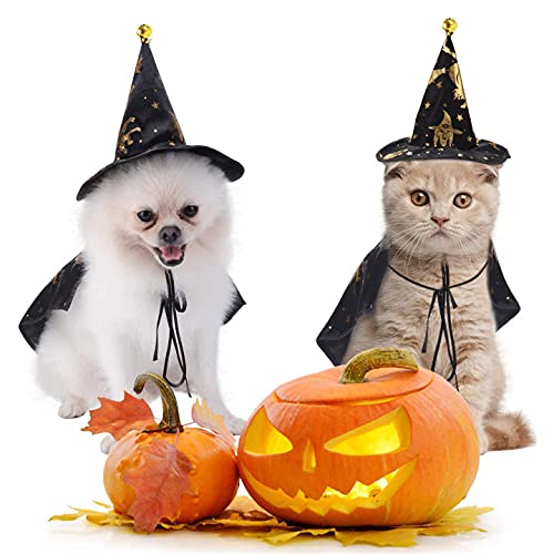 Disfraces de Halloween para gatos, disfraz de Halloween para mascotas, disfraz de bruja impreso, disfraz para gatos pequeños, Halloween, cosplay, fiesta, ropa para mascotas, decoración, L