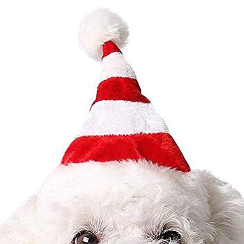 Disfraz de perro de Navidad Sombrero de Papá Noel, disfraz de Papá Noel, cachorro, gato, gatito, conejo, disfraz de conejo, cumpleaños, fiesta, cosplay, suministros talla L