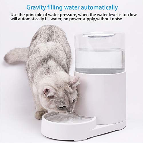 Dispensador de Agua para Mascotas de 2,5 l. Viene con Mantel Individual para Mascotas. Dispensador automático de Agua de Gran Capacidad, tamaño Mediano y pequeño, Botellas para Mascotas de Gatos