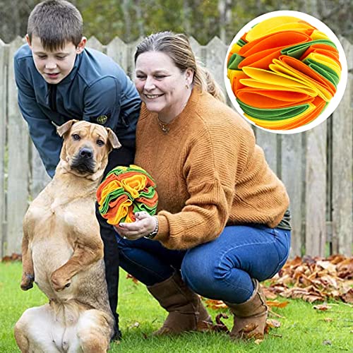 DIYARTS Snuffle Mat para Perros Juguetes interactivos Ball Pet Sniffing Feeding Mat Dog Slow Food Dispensador Mat para el aburrimiento, Alivio del estrés
