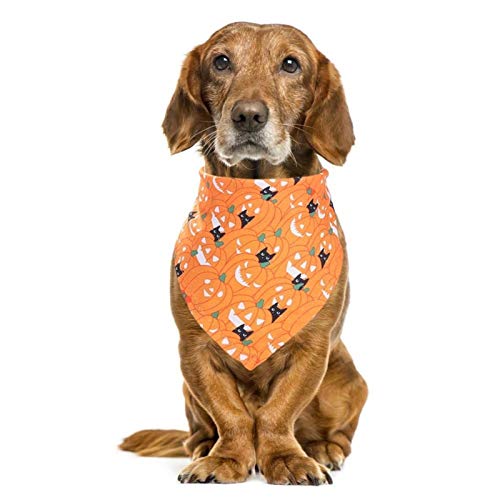 DIYHM Halloween Pet Dog Bandanas Pumpkin Brujas Patrón Patrón Perrito Cat Neckerchief Bibs Bood Tie Pet Towel Scarf Accesorios Bufanda (Color : 03)