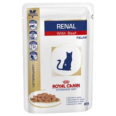 Doble pack pienso Royal Canin Renal – Veterinary Diet, vacuno