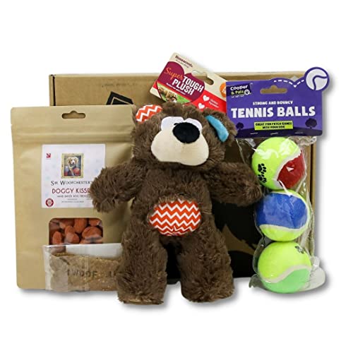 DogBox Boutique Caja de regalo para perro de plata, perfecta para cumpleaños, Navidad o un regalo mensual, regalos para perros, juguetes y accesorios