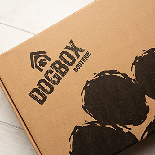 DogBox Boutique Caja de regalo para perro de plata, perfecta para cumpleaños, Navidad o un regalo mensual, regalos para perros, juguetes y accesorios