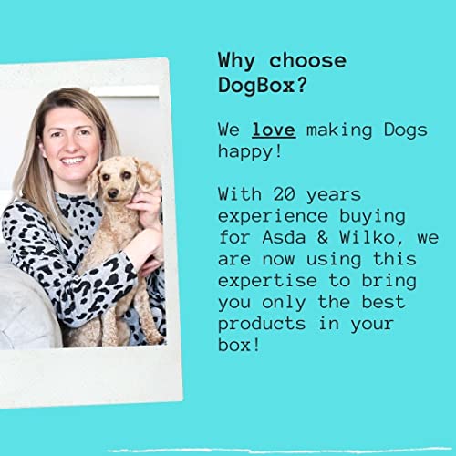 Dogbox Boutique - Caja de regalo para perros de Navidad, ideal para cumpleaños, Navidad o un regalo mensual – explosión de golosinas, juguetes y accesorios