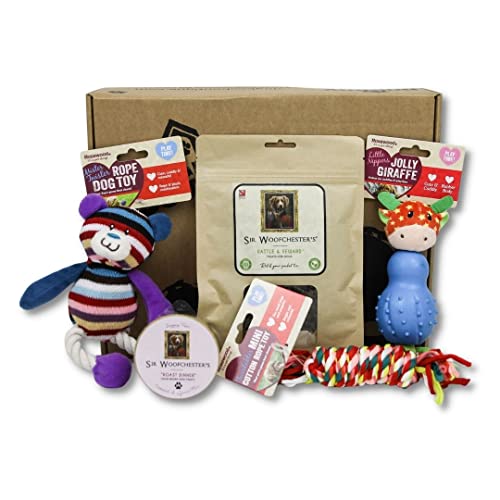 Dogbox Boutique - Caja de regalo para perros de Navidad, ideal para cumpleaños, Navidad o un regalo mensual – explosión de golosinas, juguetes y accesorios