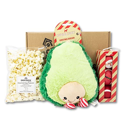 DogBox Boutique Caja de regalo para perros de verano, ideal para Navidad, cumpleaños o un regalo mensual, reventado con golosinas para perros, juguetes y accesorios | Regalo de cumpleaños para perros