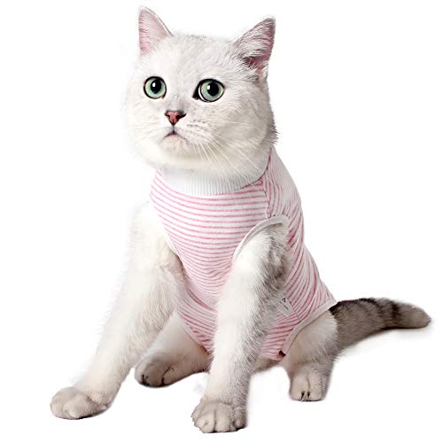 Dotoner Traje de recuperación Profesional para Gatos, Gata Camiseta de recuperación quirúrgica para heridas Abdominales Vendas Cono Cuello en Forma Alternativo(Rosa,l)