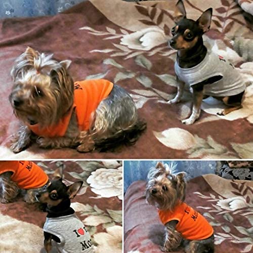 Ducomi Pets Love - Camiseta para perro y gato de algodón - Camiseta de verano para perros de pequeño y mediano tamaño y cachorros - Ropa de chihuahua, caniche y cachorros