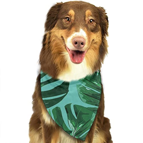 EDJKEJYCO Bandanas de perro de hoja de palma, pañuelo suave ajustable para cachorros, bufandas lavables a máquina para perros pequeños, medianos y grandes
