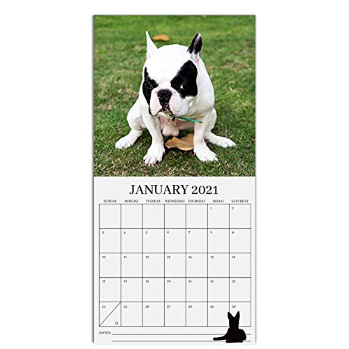 Emeinkei Calendario 2021 para Perros Caca, Calendario de Pared para Perros Caca 2021 para Elefante Blanco,Multicolor-132