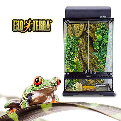 EXO TERRA Kit Habitat Tropical Pequeño de 40.5 L, 30 x 30 cm