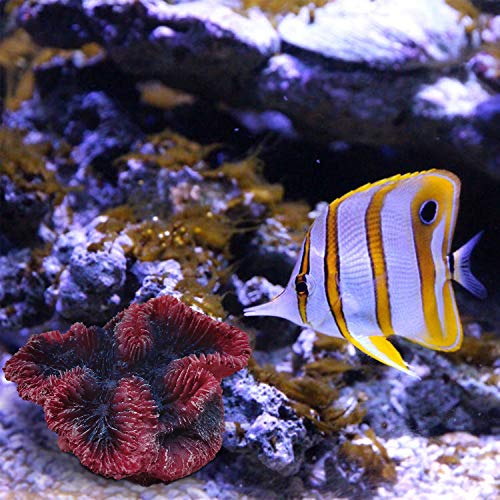 E.YOMOQGG Decoración de arrecife de coral artificial para acuario de poliresina, decoración de arrecifes de coral y decoración de paisajes (tamaño grande)