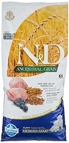 Farmina - N/D LOW Grain - Alimento para cachorros con cordero y arándano, talla media/grande 12 kg