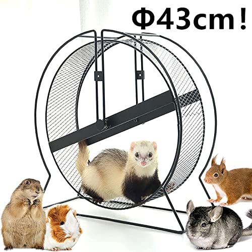 Fhdisfnsk 43 cm Mini Hedgehog Sport Wheel, Rueda de Ejercicio para Mascotas pequeñas de Rueda de Metal para hurón, Ardillas, Conejillo de Indias, marmota