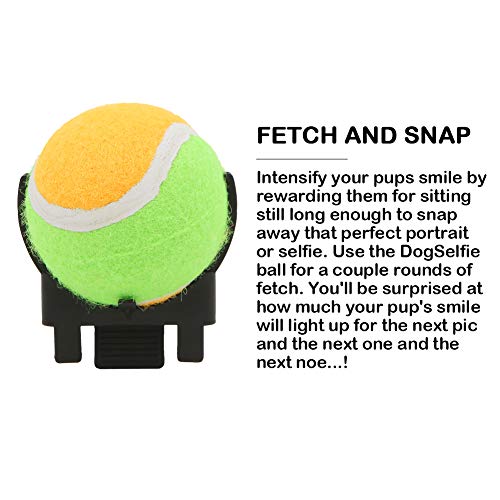 Geluode Pet Selfie Stick Clip Ball, 6,5 cm Accesorio para teléfono de tenis para perro mascota agilidad entrenamiento foto cachorro fotografía interacción juguete