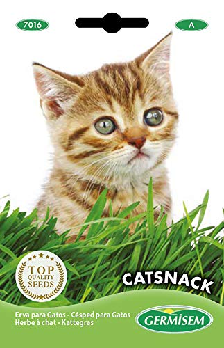 Germisem Catsnack Semillas de Hierba para Gatos 10 g, EC7016