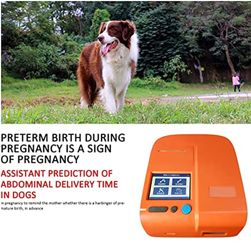 GKPLY Probador de progesterona Canina portátil, Equipo de cría de Perros con Tarjeta de 100 reactivos, Master el Mejor Tiempo de apareamiento para Perras, Naranja