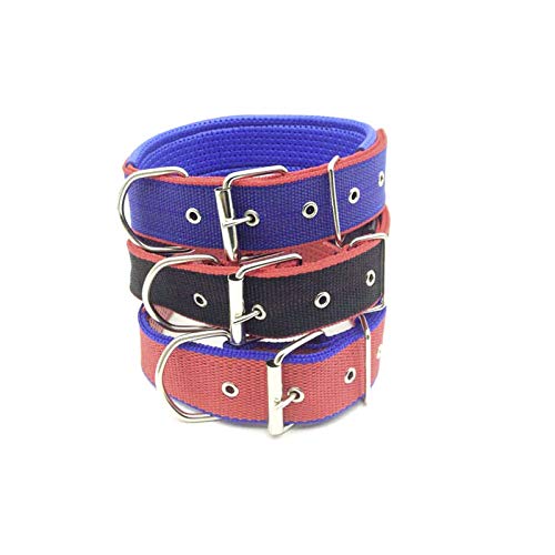 GLD Forniture Collar para perro de 4 cm x 67 cm – 1 pieza de color variable.