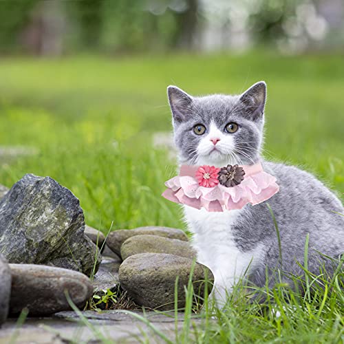 HACRAHO Baberos para gatos con correa, 1 juego de bufanda rosa para mascotas y correa, bufandas para mascotas con flores para perros pequeños, medianos y gatos, S