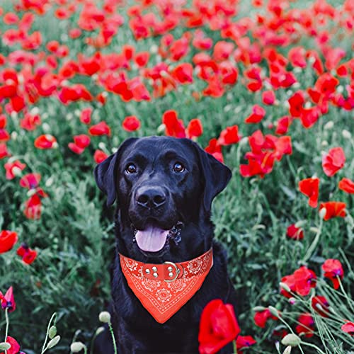 HACRAHO Bandanas de cuello para perro, 4 piezas, cuello de bufanda de perro triangular con correa ajustable para perros medianos y grandes, rojo, verde, rojo rosa, azul cielo, L