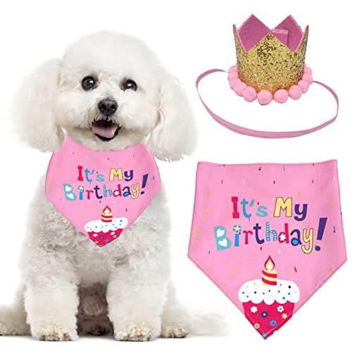 HACRAHO Juego de Sombrero Y Bandana de Cumpleaños para Perros, 2 Bufanda Triangular de Cumpleaños para Perros con Sombrero de Cono de Lentejuelas de Estrellas para Perros Y Gatos, Rosa