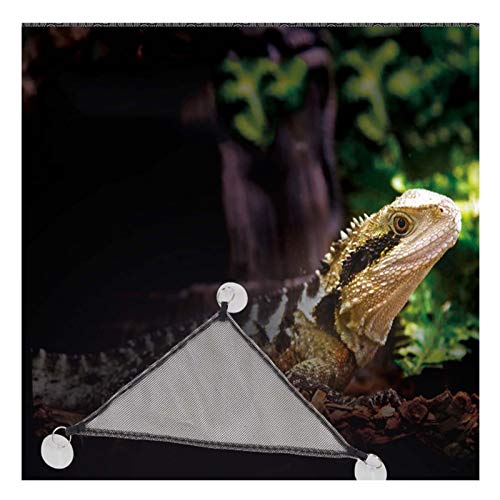 Hamaca de Reptil Paño de Nylon Suave Reptil Hamaca montado en la Pared, triángulo Pet oscilante Juguete para Lagarto/camaleón/hámster/Hermit Cangrejo, fácil de Limpiar (Size : 20x30cm)
