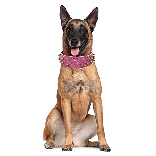 haoyueer Collar de piel sintética con tachuelas para perros medianos y grandes Pit Bull Mastín Bully Boxer (M, marrón oscuro)
