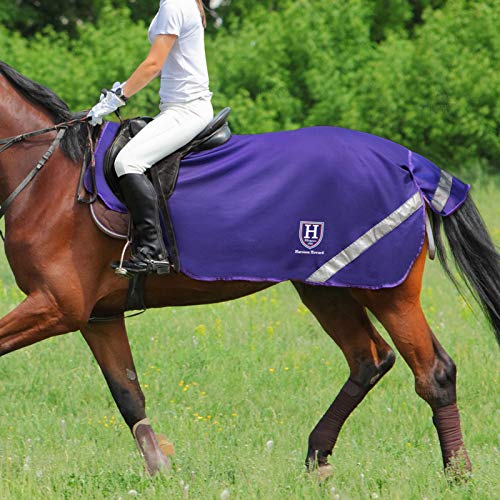 Harrison Howard Climax - Manta de ejercicio para caballo (malla suave, permeabilidad al aire, alta visibilidad, reflectante, para ejercicios de caballo, color morado