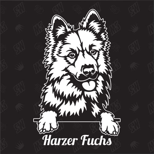 Harzer Fuchs Fox versión 1 - pegatina, pegatina para perro, coche, razas de perros, pegatina, mestizo, mezcla, animales, mascota (también es posible con desear)