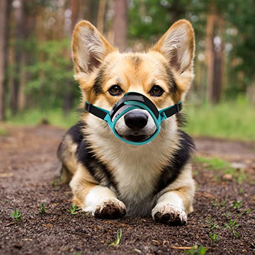 Hocico de Perro Hocico de Mascotas Ajustable: Perrito Transpirable Aire Libre Hocico Anti- Mordeding Ladridos Masticar Mascota Canasta L
