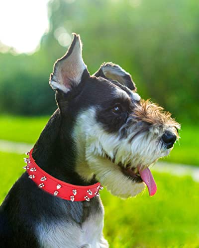Hoogtecly Collar Perro, Ajustable y Resistente con Patrones de Moda, Resistente Confortable al Tacto para Perros Pequeños, Medianos y Grandes