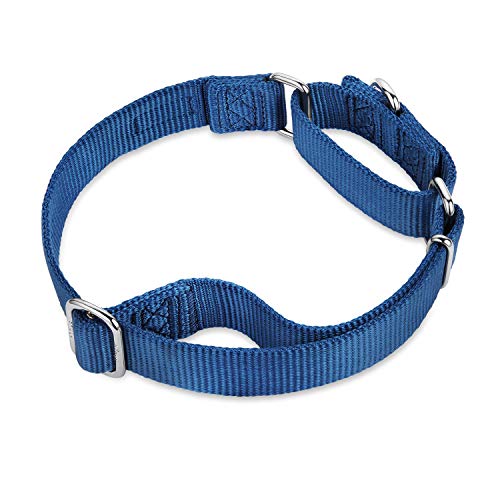 Hyhug Premium actualizado Cuello de Perro Martingale antivaho de Nylon Resistente para Perros Grandes, pequeños, medianos, pequeños y pequeños (Grande L, Azul clásico)