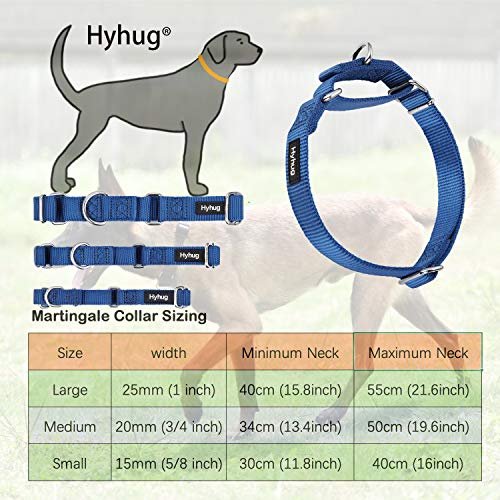 Hyhug Premium actualizado Cuello de Perro Martingale antivaho de Nylon Resistente para Perros Grandes, pequeños, medianos, pequeños y pequeños (Grande L, Rosa Caliente)