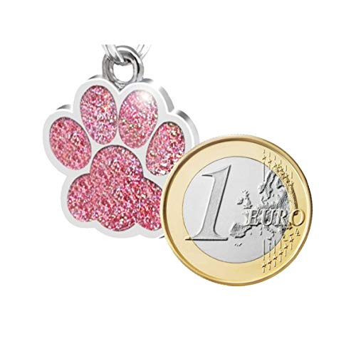 Iberiagifts - Placa Chapa de identificación Personalizada para Collar Perro Gato Mascota grabada (Dorada)