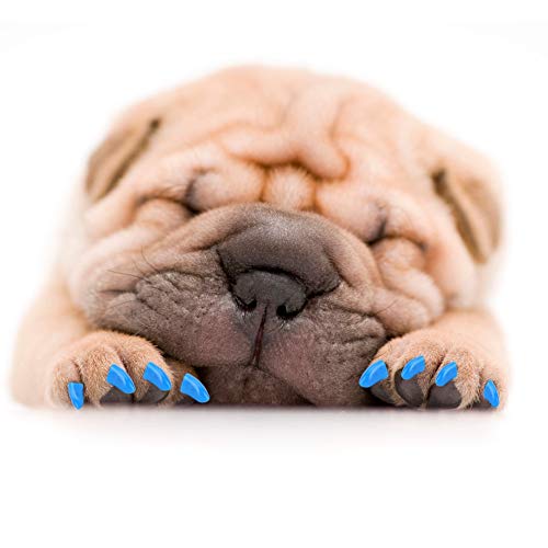 Jadeshay Cubiertas de uñas para Perros 100PCS - Pet Dog Soft PVC Nail Cover Paw Claw Cap Wrap Grooming Accesorio, Azul(XL-Azul)