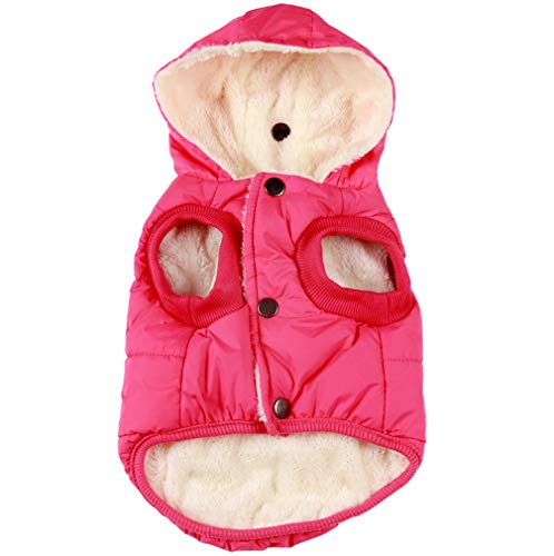 JoyDaog - Sudadera con capucha para perro con forro polar cálido en invierno, chaqueta con capucha para perros pequeños, color rosa, talla M