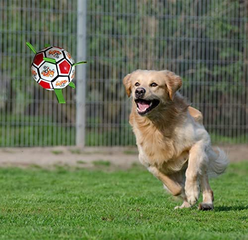 Juguete para perros Pelota para perros indestructible Pelota para perros a prueba de pinchazos Pelotas para perros Pelotas interactivas para perros Perros juegan en interiores y exteriores